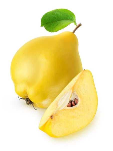 Kdouloň